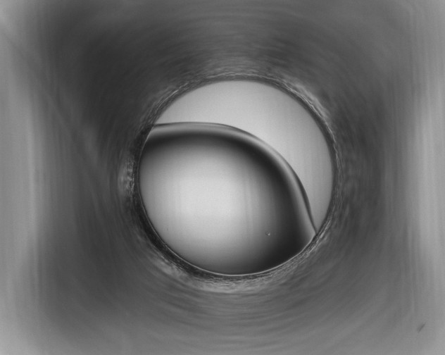 X0000116650017200912211456