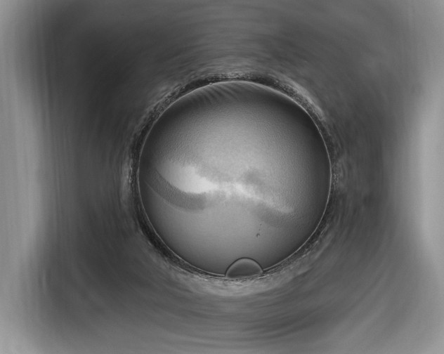 X0000116650018200912211456