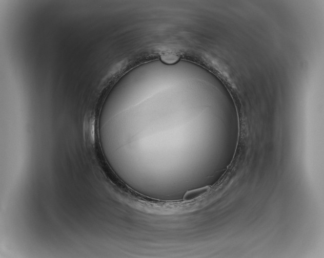 X0000116650019200912211456
