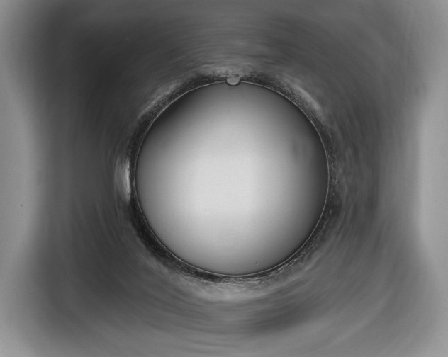 X0000116650020200912211456
