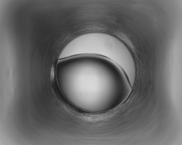 X0000116650021200912211456