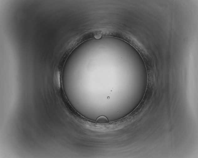 X0000116650022200912211456