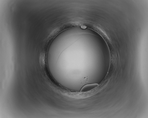 X0000116650023200912211456