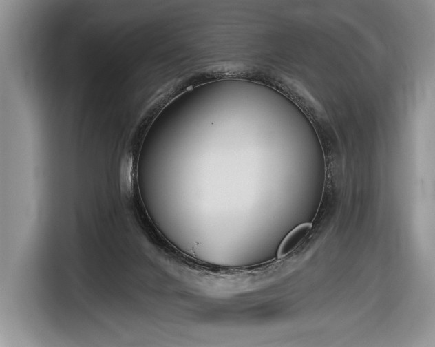 X0000116650024200912211456