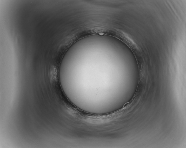 X0000116650025200912211456
