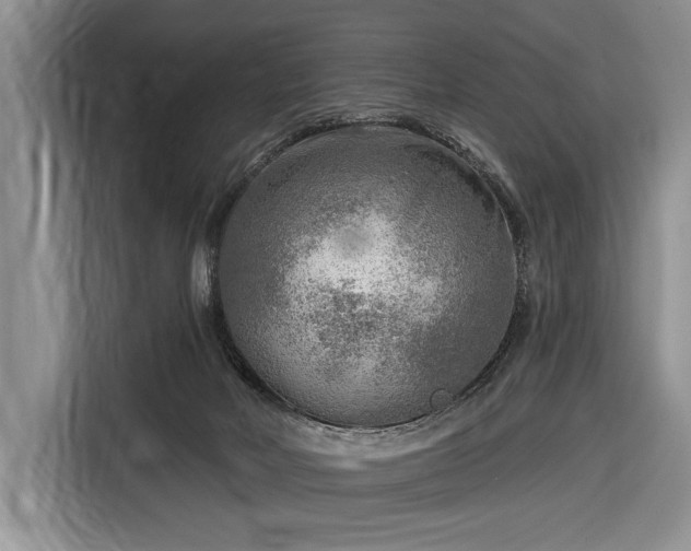 X0000116650026200912211456