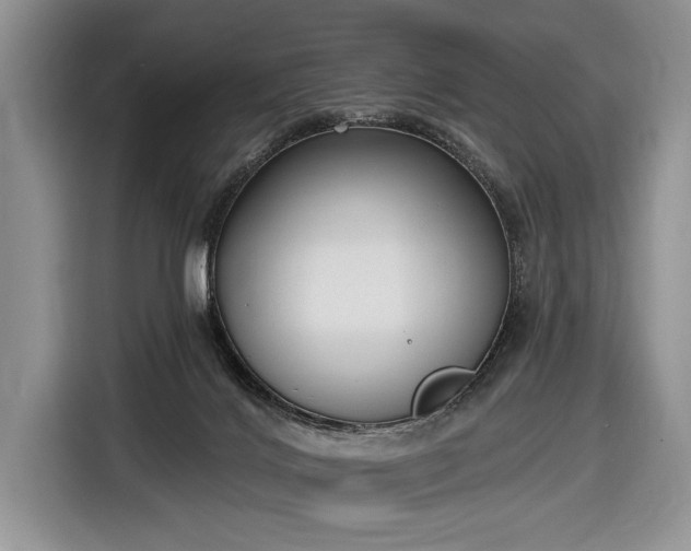 X0000116650028200912211456