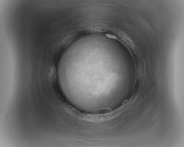 X0000116650029200912211456