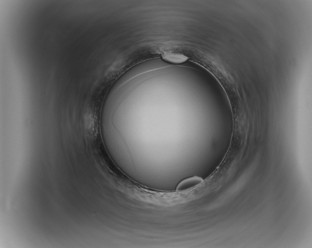 X0000116650031200912211456