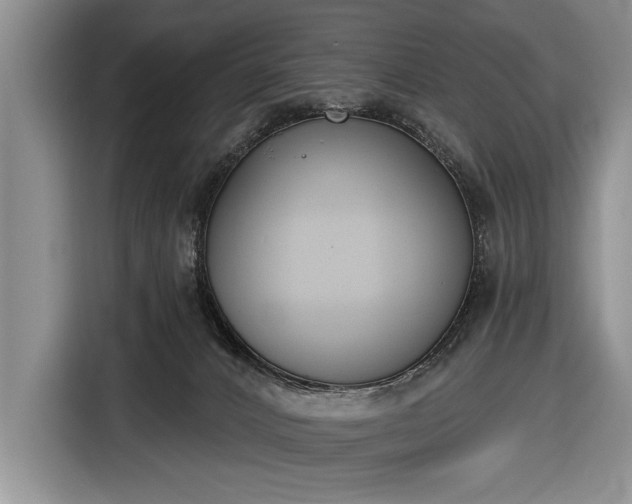 X0000116650032200912211456