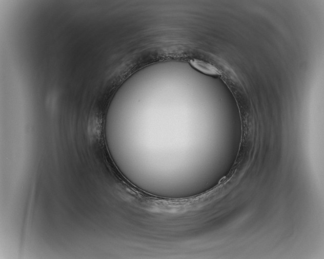 X0000116650033200912211456