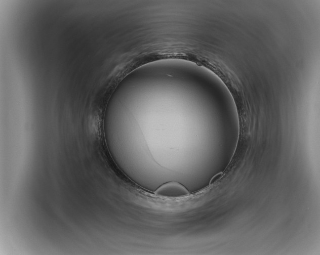 X0000116650035200912211456