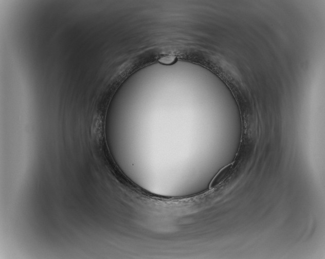 X0000116650036200912211456