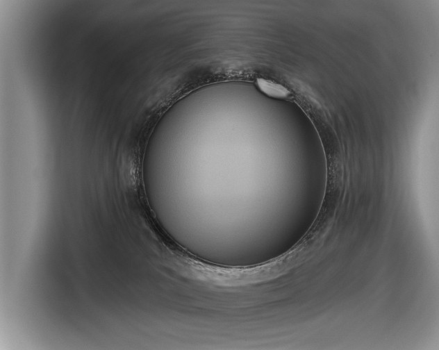 X0000116650039200912211456