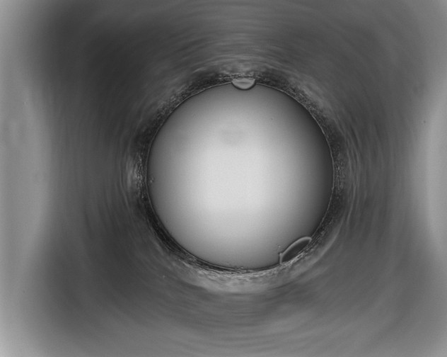 X0000116650040200912211456