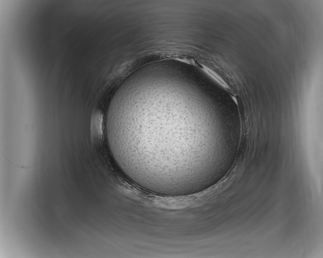 X0000116650041200912211456