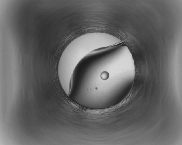 X0000116650045200912211456