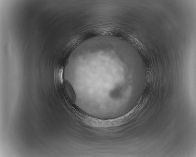 X0000116650047200912211456