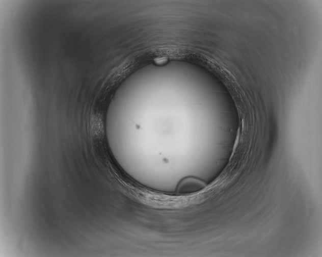 X0000116650048200912211456