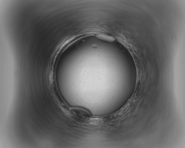 X0000116650050200912211455