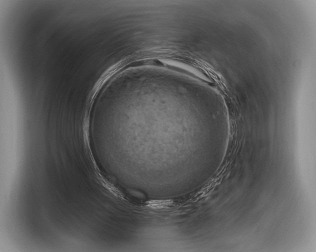X0000116650051200912211455