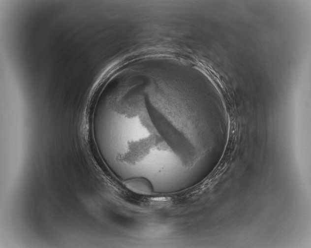 X0000116650053200912211455