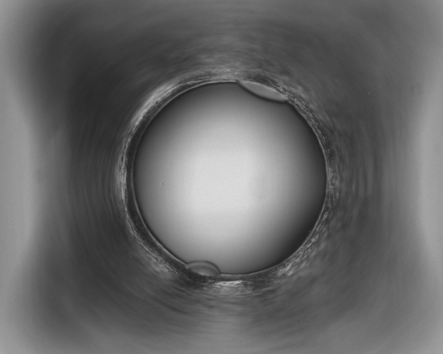 X0000116650054200912211455