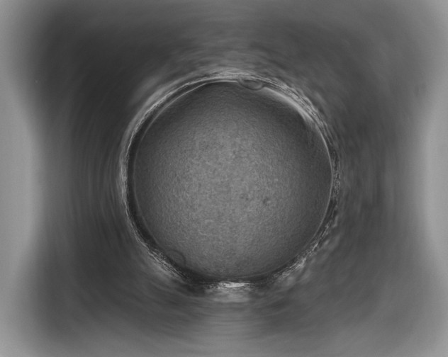 X0000116650055200912211455