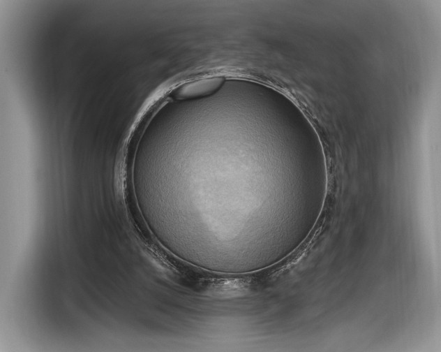 X0000116650056200912211455