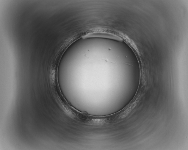 X0000116650057200912211455
