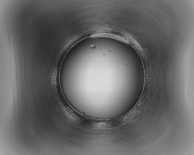 X0000116650058200912211455