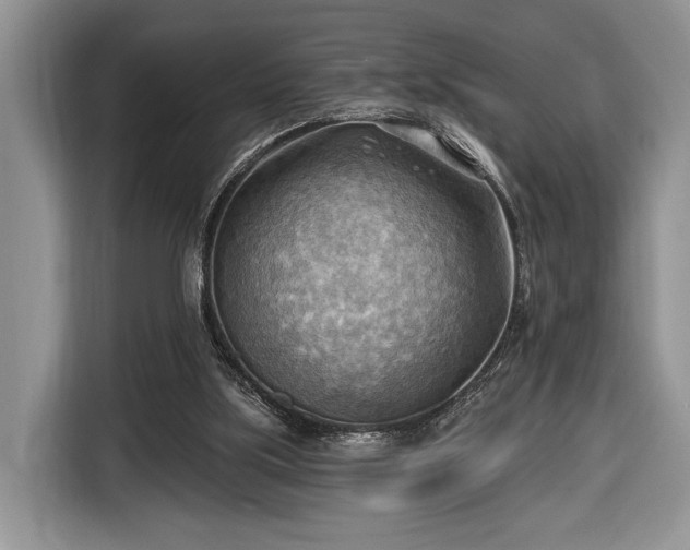 X0000116650059200912211455