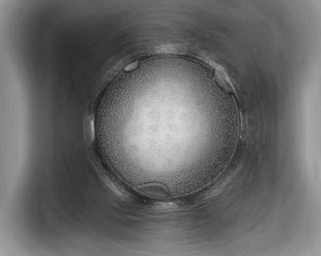 X0000116650061200912211455