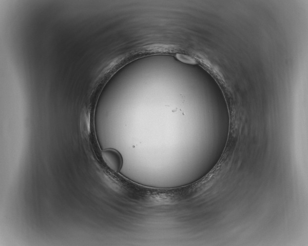 X0000116650062200912211455