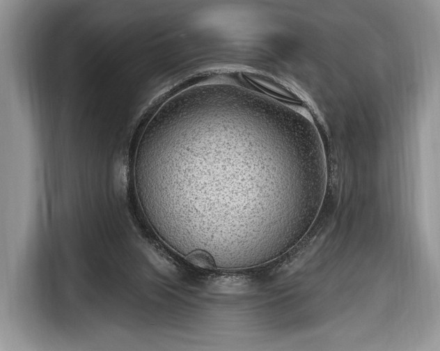 X0000116650063200912211455