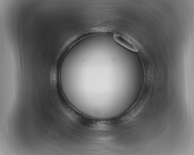 X0000116650064200912211455