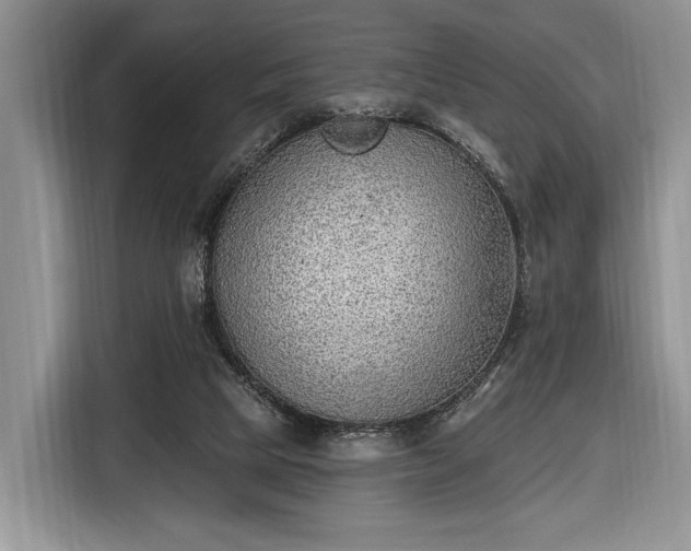 X0000116650065200912211455