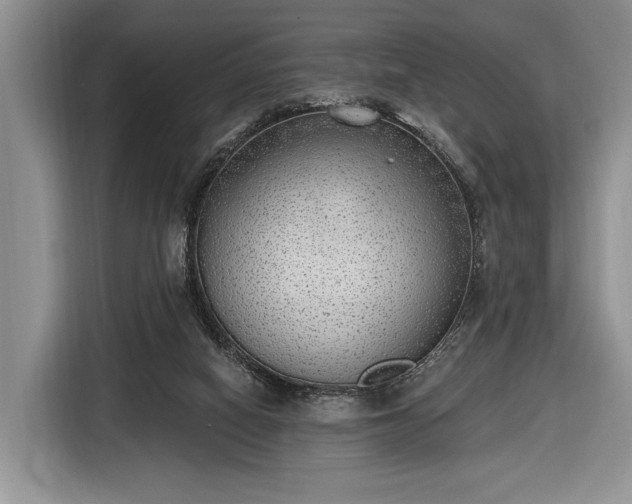 X0000116650066200912211455
