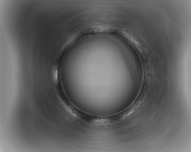 X0000116650067200912211455