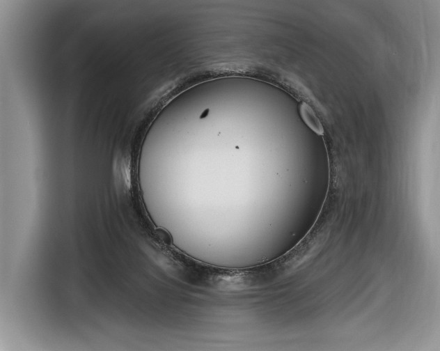 X0000116650068200912211455