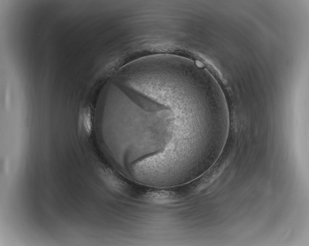 X0000116650069200912211455