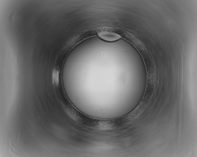 X0000116650070200912211455