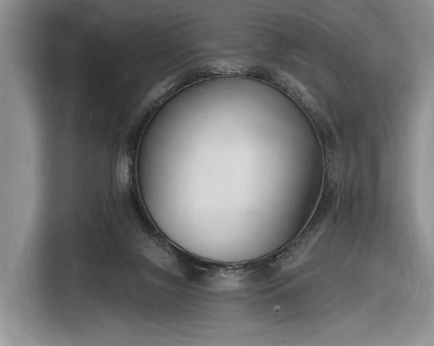 X0000116650071200912211455