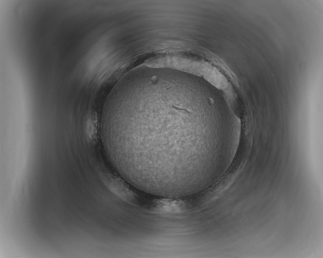 X0000116650073200912211455
