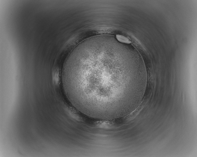 X0000116650074200912211455