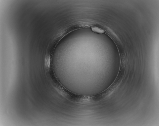X0000116650076200912211455