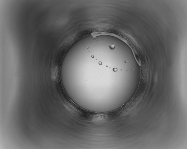 X0000116650077200912211455