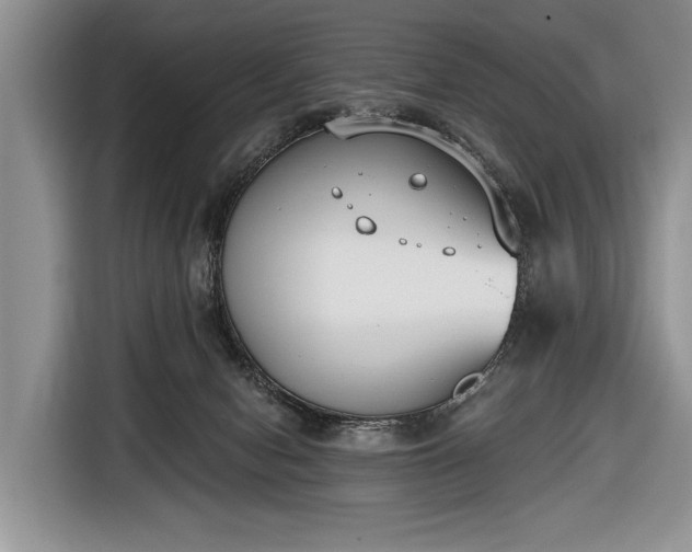 X0000116650078200912211455