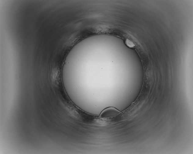X0000116650079200912211455
