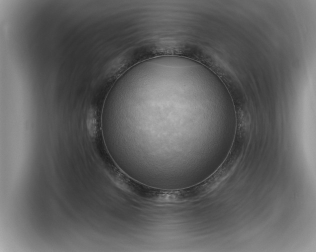 X0000116650080200912211455